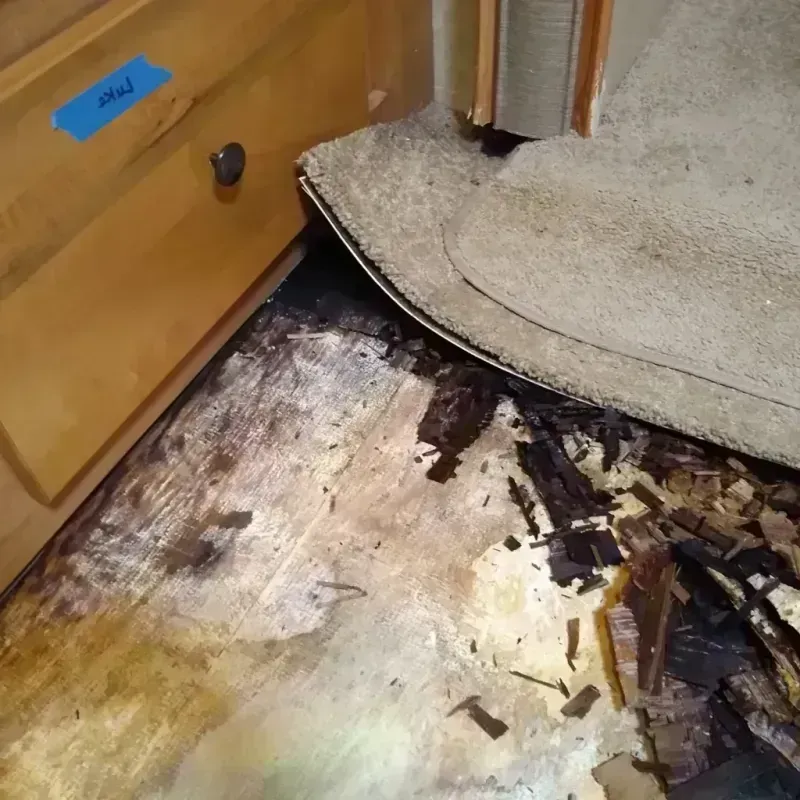 Best Wood Floor Water Damage Service in Florence, SC